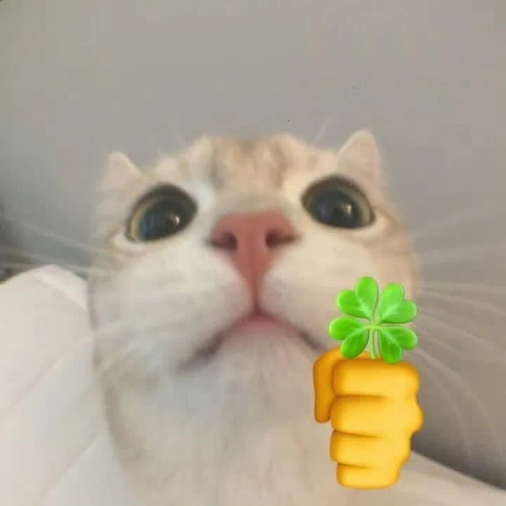 头像动漫可爱