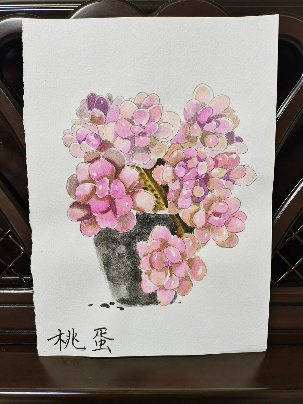 21 桃蛋（绘画 | 水彩 | 果花甘02）
2018.05.25
淡淡的粉色，淡淡的紫色，雾气一样笼罩在纸上。
看别人画画，听到一个新词“空间感”。在画面上拉开远近距离，用虚实表现远近。
于是画这幅画的时候，特意将后面的部分处理画得很淡很浅。远看像隔了一层雾气，淡粉和淡紫色，带着浅浅香味的雾气。
这个时候还不知道色调统一。叶根深处依旧用了暖色，显得有些凌乱。如果使用冷色，比如蓝或紫色就更合适了。
整体画面有些粗糙，毕竟是刚开始晕染这种丛生的植物，边缘处理得比较粗糙，冷暖色关系也不太对看起来不精致。进步的地方是虚实有概念了，空间感和空气有强调出来。