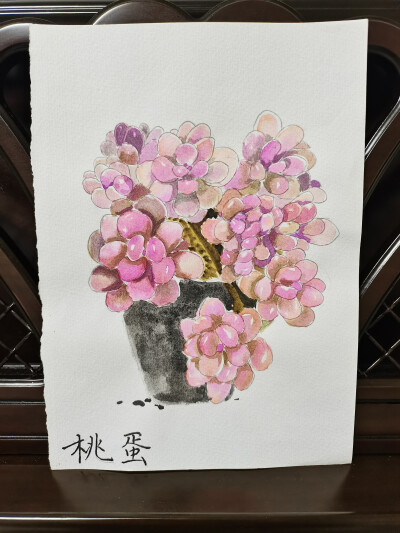 21 桃蛋（绘画 | 水彩 | 果花甘02）
2018.05.25
淡淡的粉色，淡淡的紫色，雾气一样笼罩在纸上。
看别人画画，听到一个新词“空间感”。在画面上拉开远近距离，用虚实表现远近。
于是画这幅画的时候，特意将后面的部…