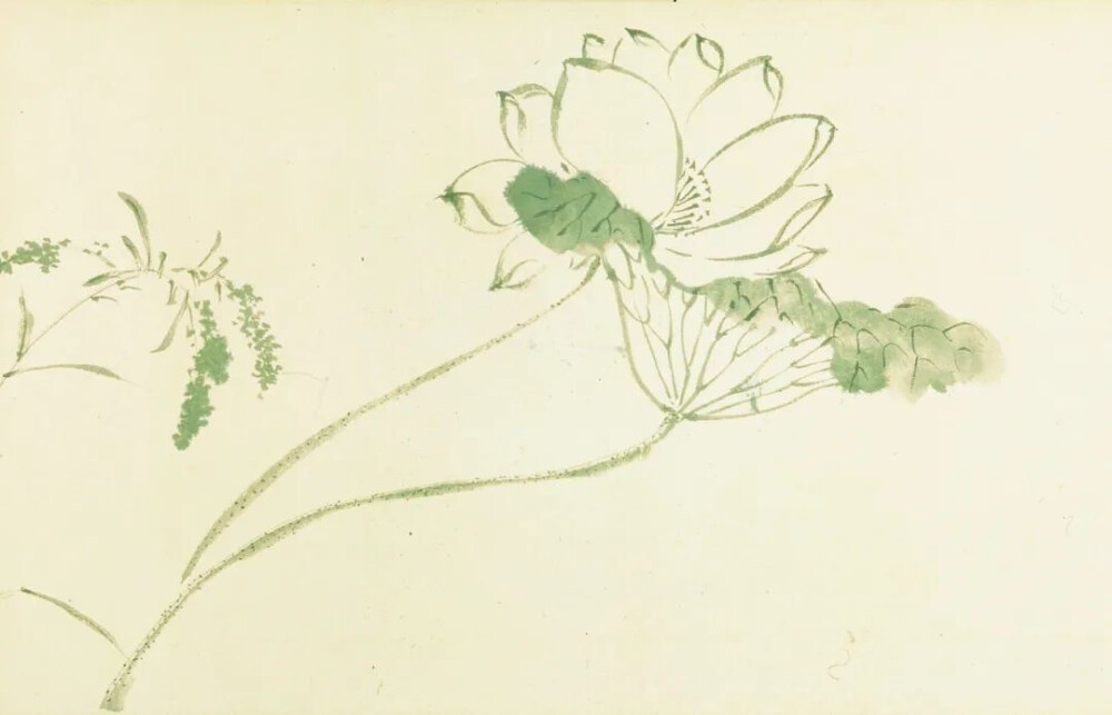 【花卉图卷】陈淳
