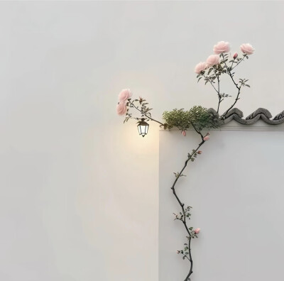 好看的背景图