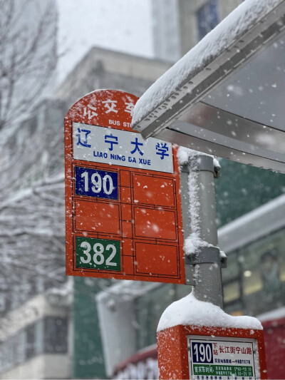明年要去辽大看雪！