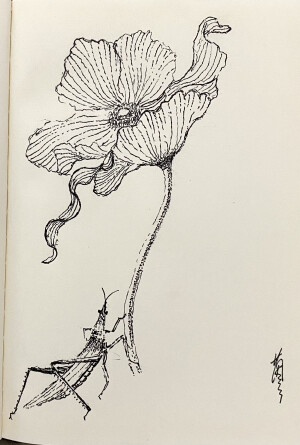 《针管笔点绘》