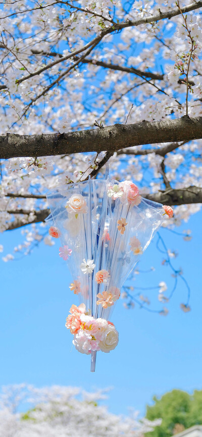 花壁纸