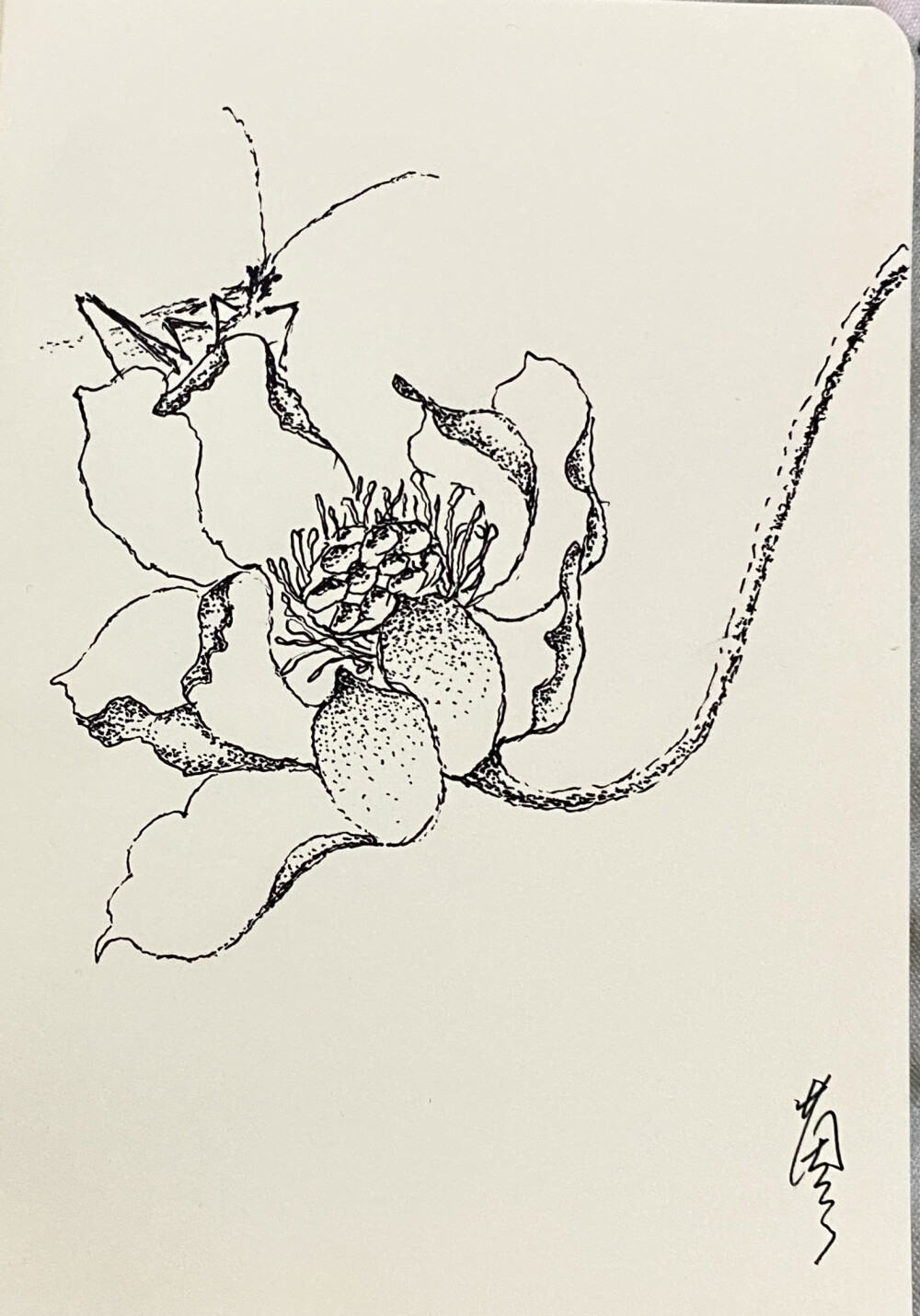 《针管笔点绘》