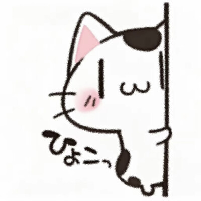 djcn