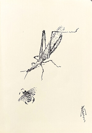 《针管笔点绘》