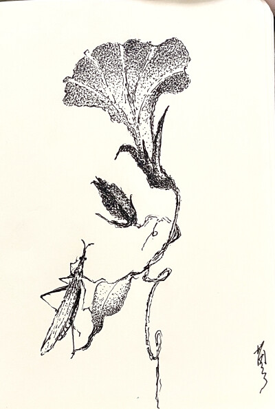 《针管笔点绘》