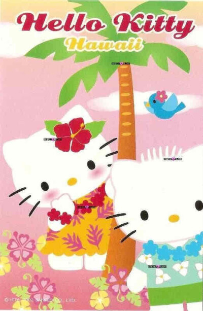 hello kitty