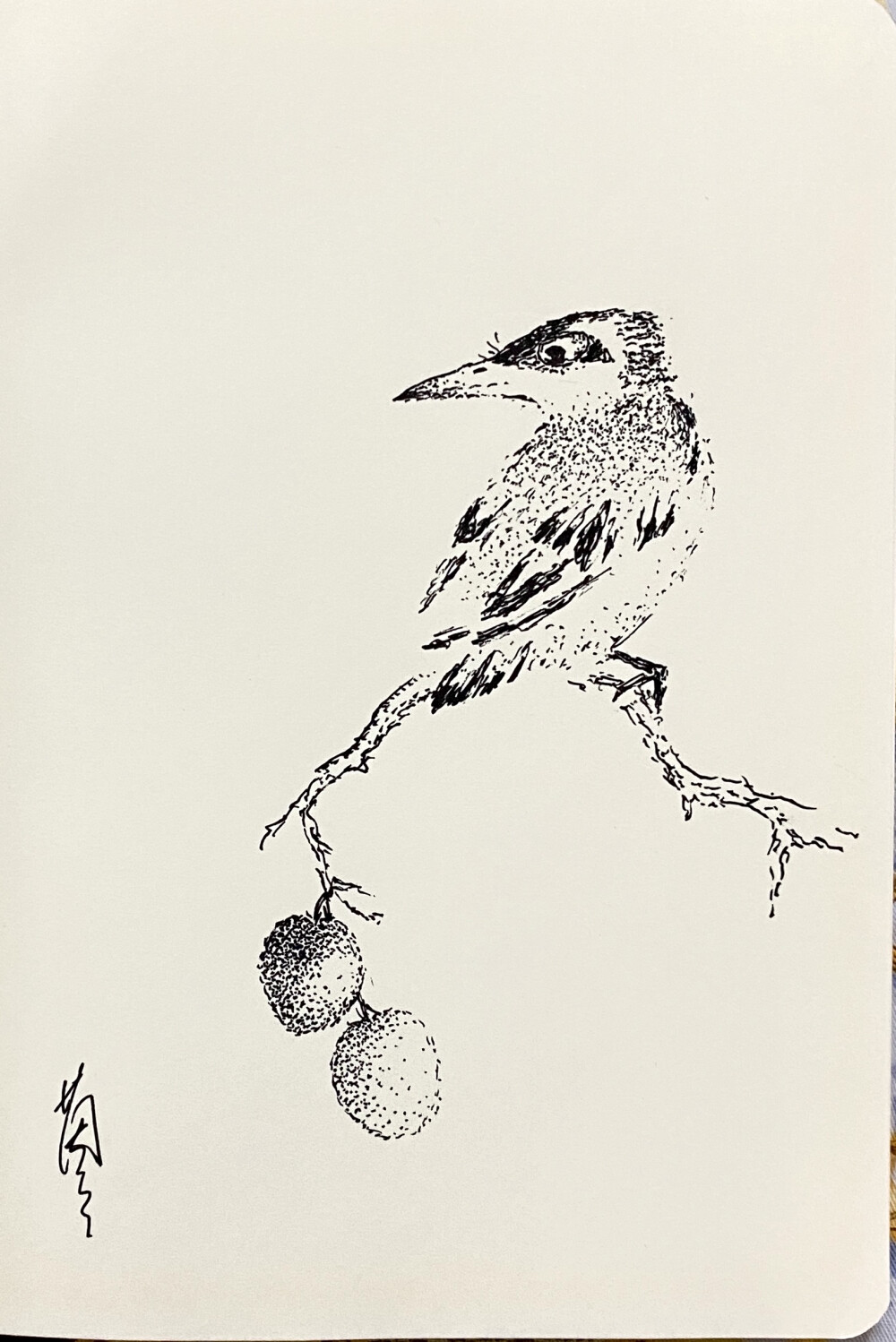 《针管笔点绘》