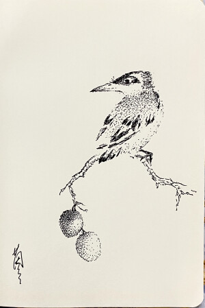 《针管笔点绘》