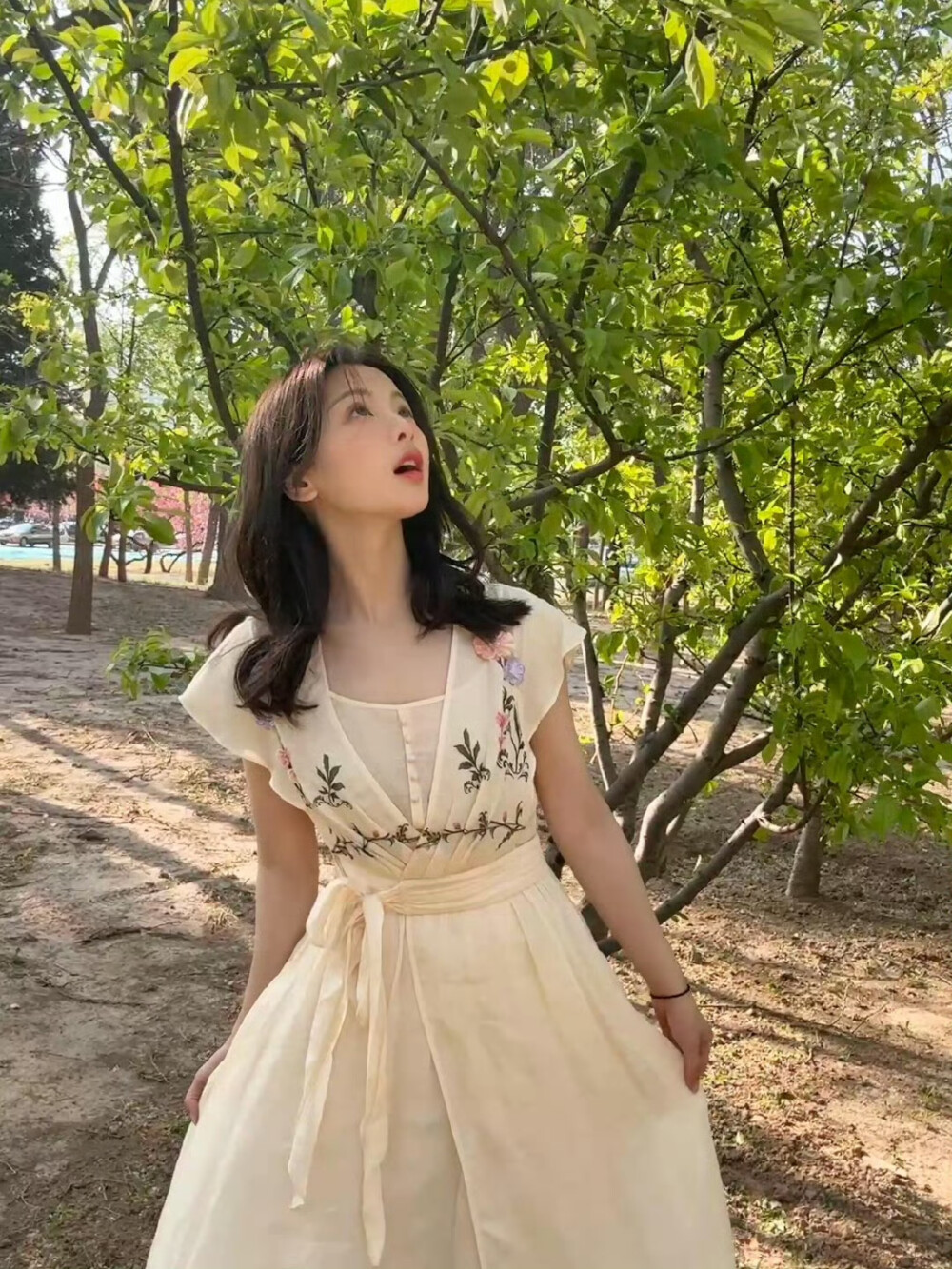 小羊