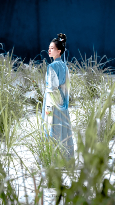 掌心 叶平安 刘诗诗