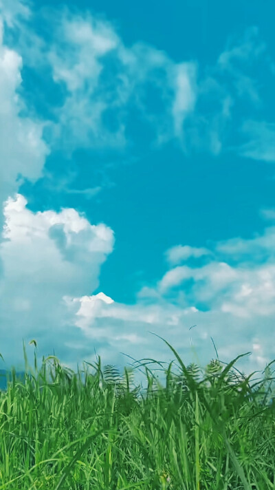 清新自然