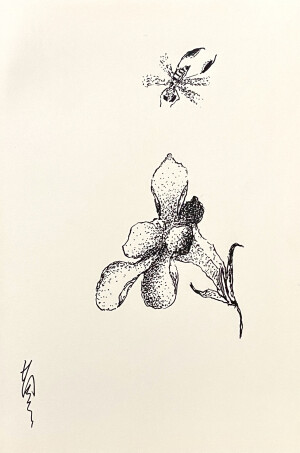 《针管笔点绘》