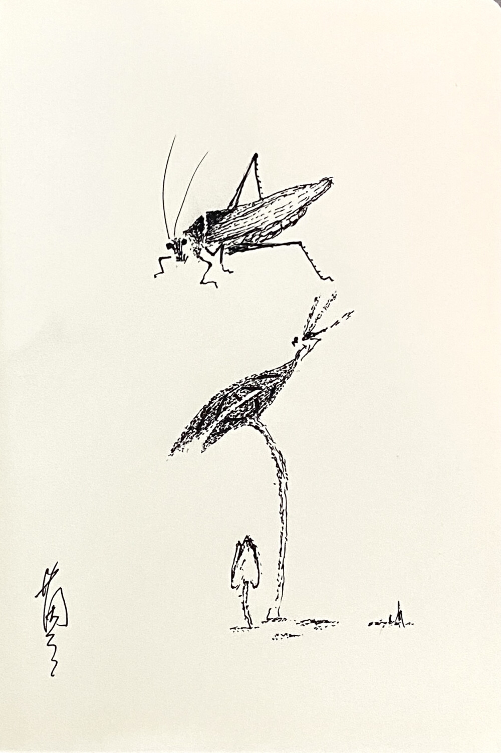 《针管笔点绘》