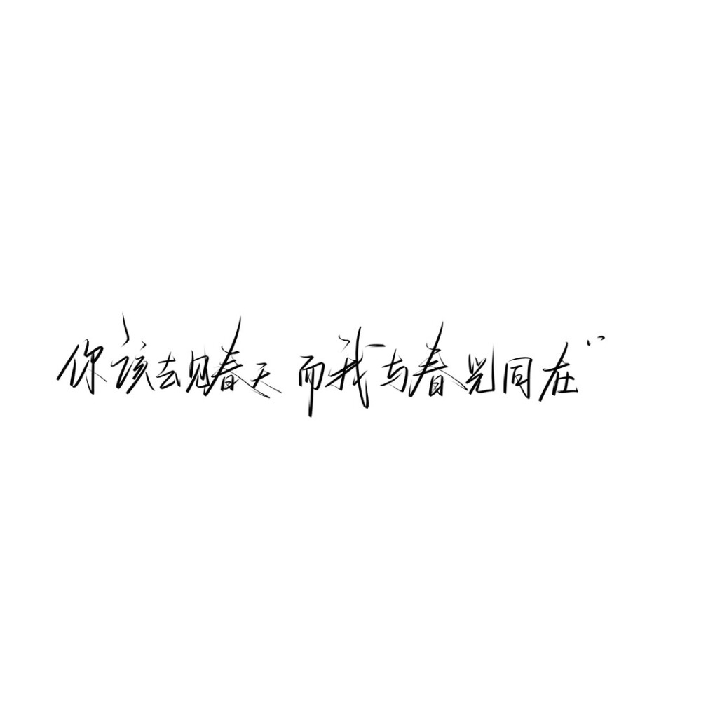 手写文案
图源ks：手写琛