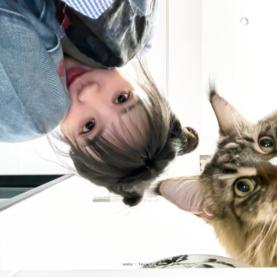 田曦薇