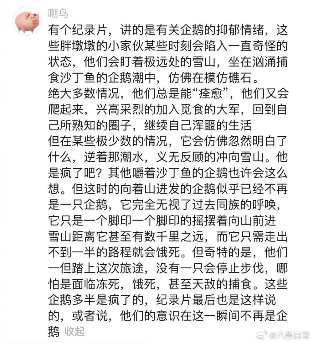企鹅