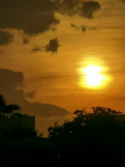 夕阳