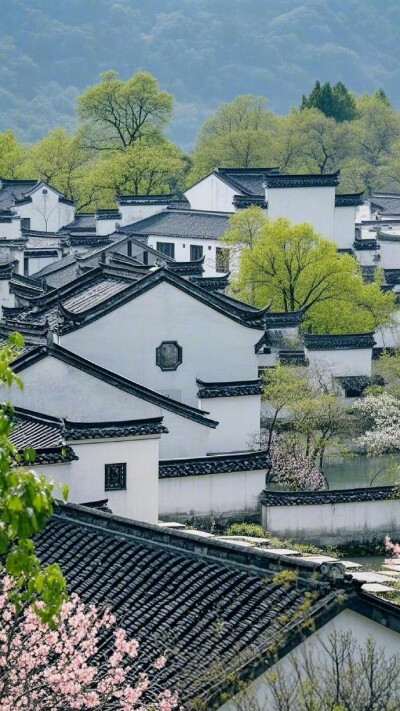 春暖鸭先知
