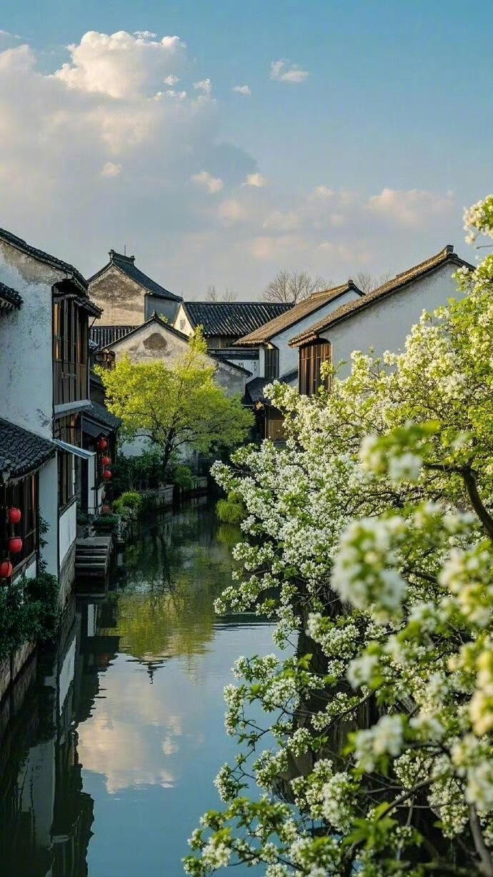 春暖鸭先知