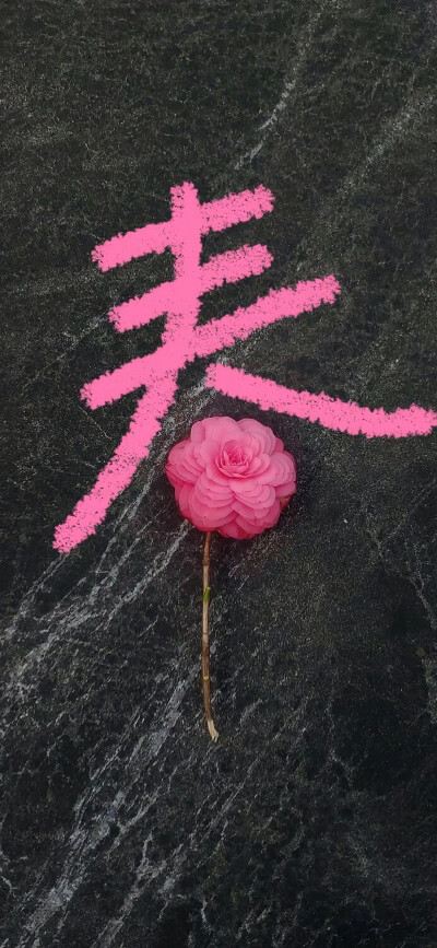 高清壁纸