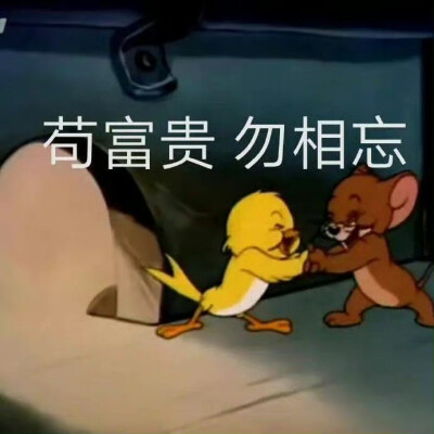 有趣表情包