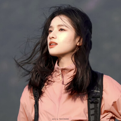 张婧仪