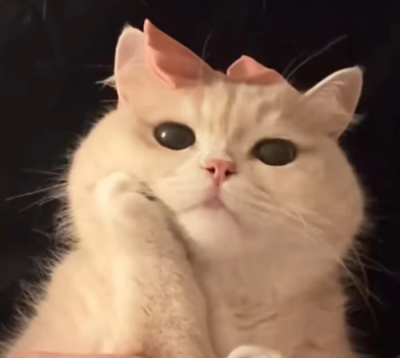 。