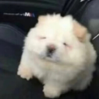 小裤头