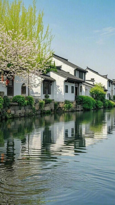 春暖鸭先知