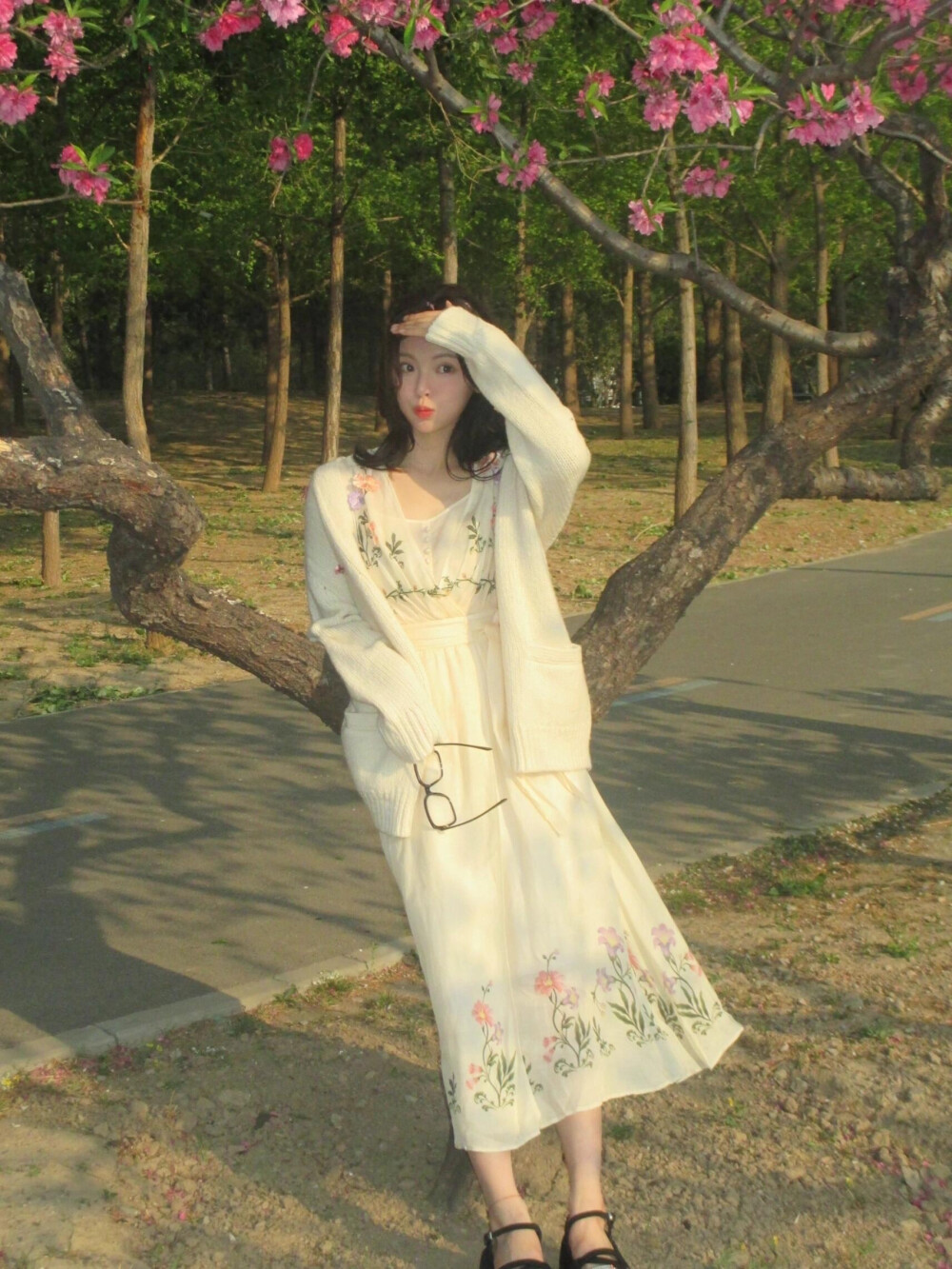杨超越