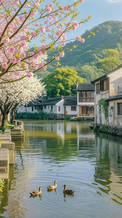 春暖鸭先知