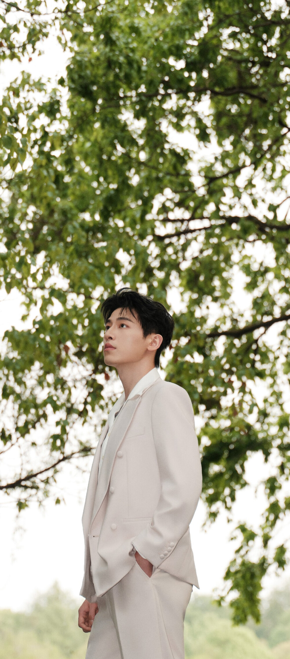 辛云来 - 高清图片,堆糖,美图壁纸兴趣社区