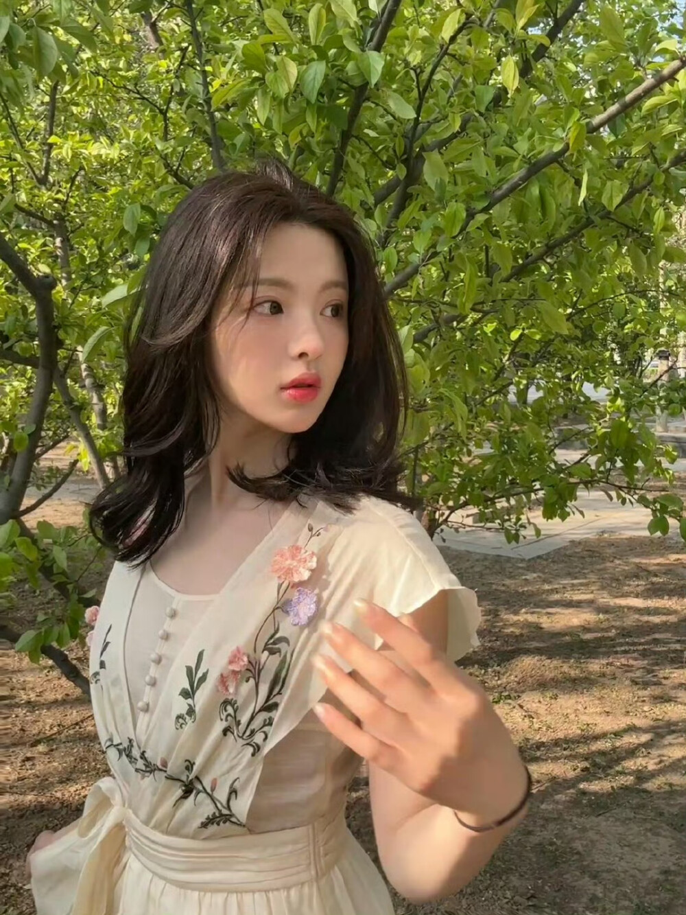 杨超越