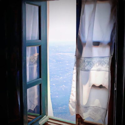 要一起去海边捡贝壳吗