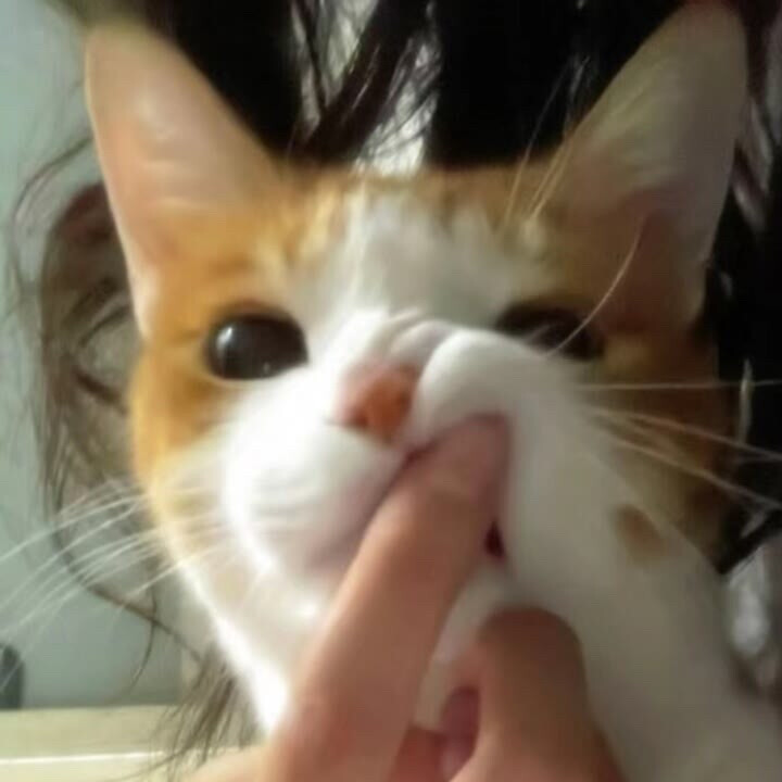 . ..