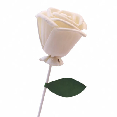 diy无火藤条扩香棒香薰空瓶精油通草花挥发棒配件熏香散香永生花