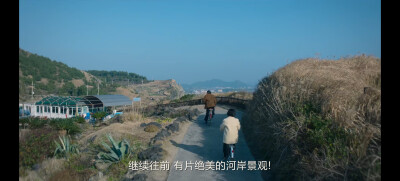 苦尽柑来遇见你台词