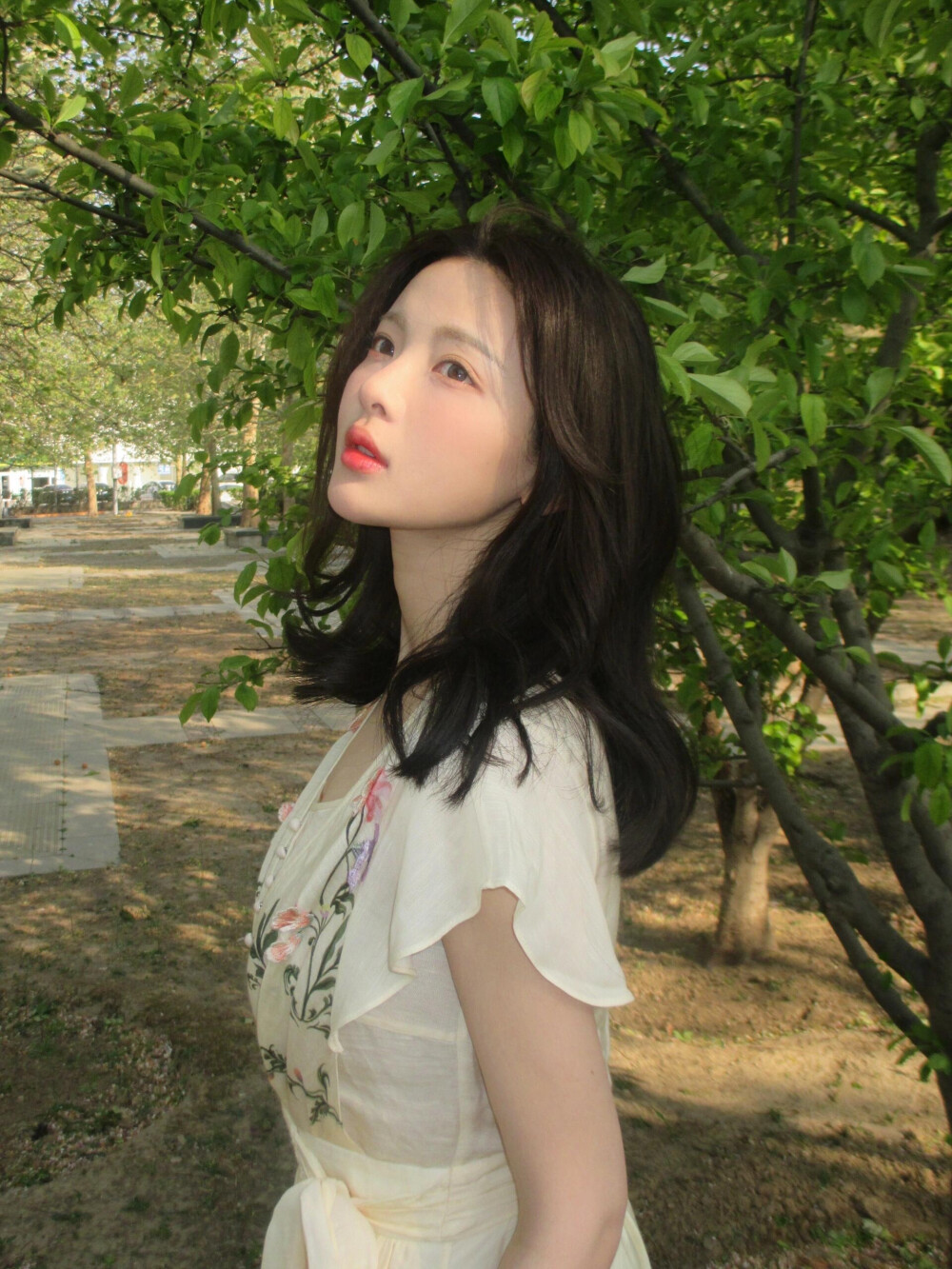 杨超越