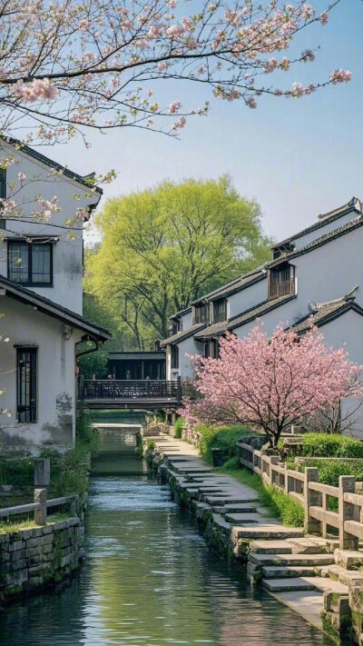 春暖鸭先知