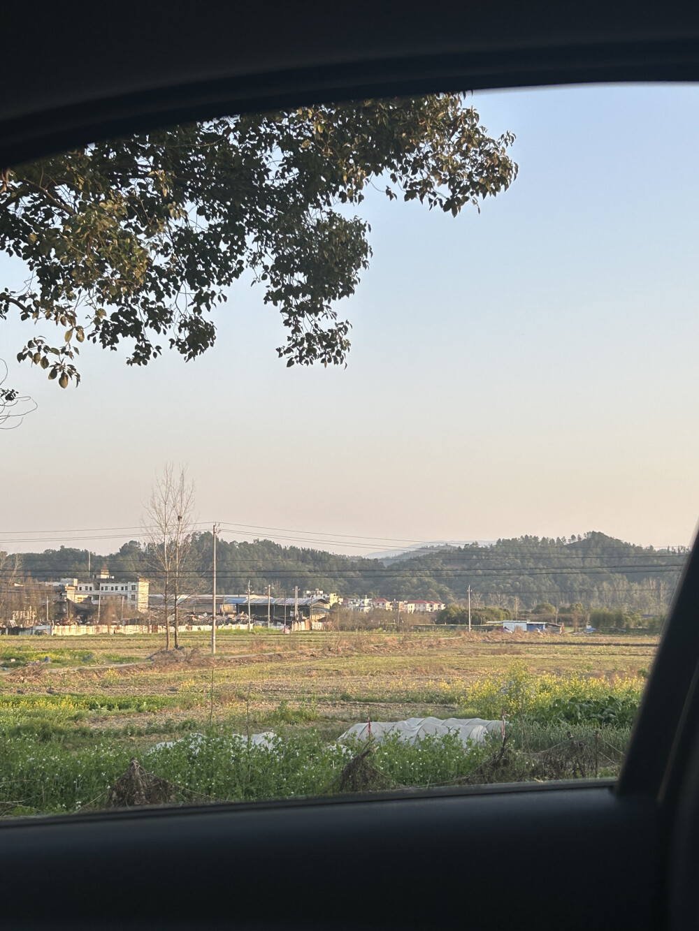 生活是无数个瞬间的拼图