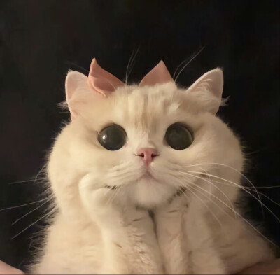。