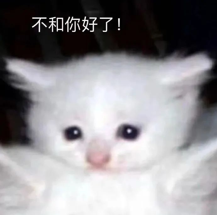 猫猫表情包