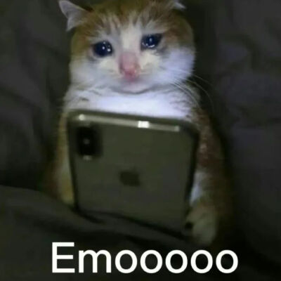 猫猫表情包