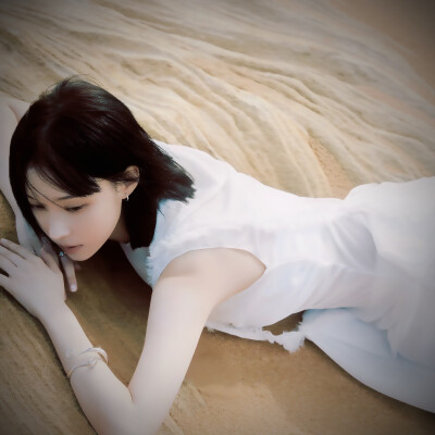 要一起去海边捡贝壳吗