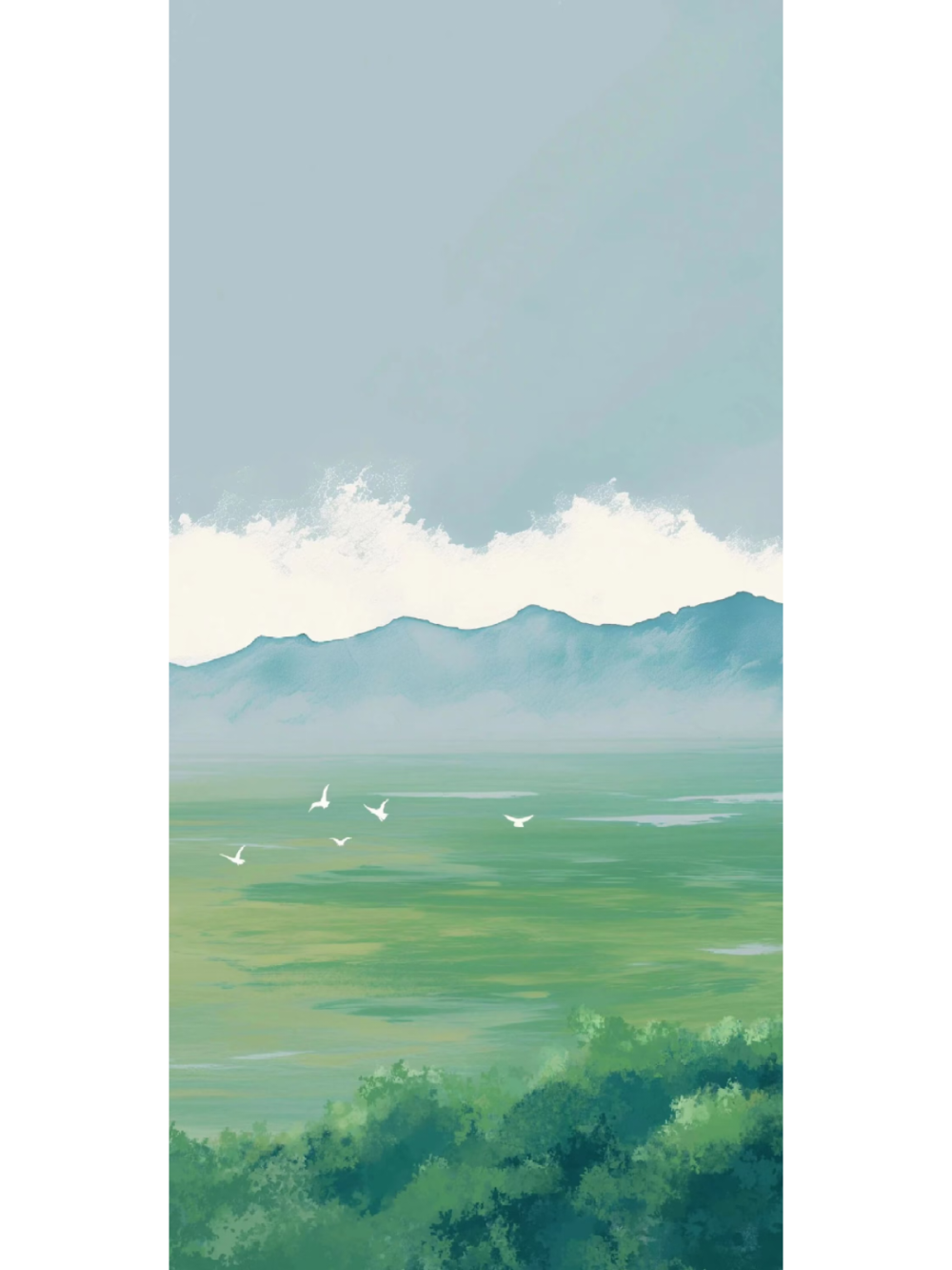 壁纸