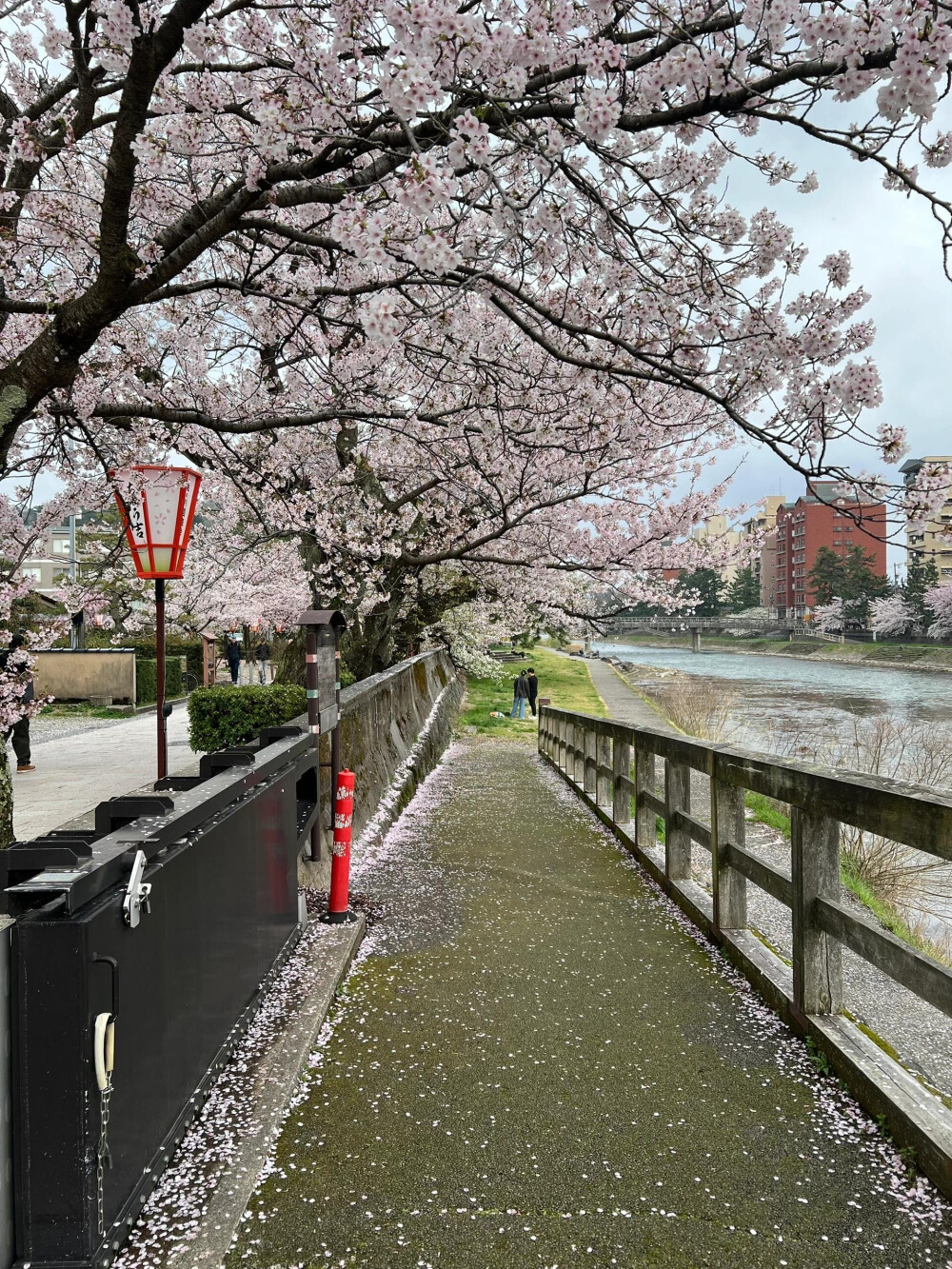 只有日本