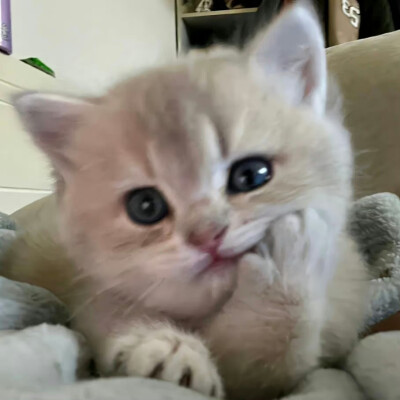 。